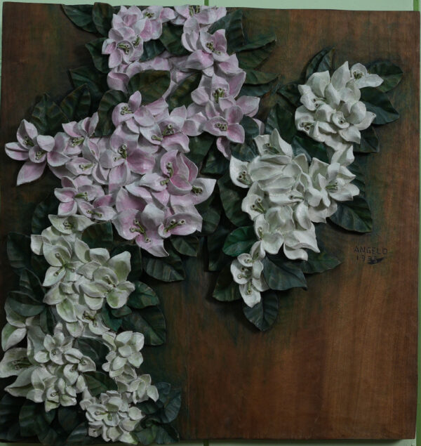 Pink Bougainvillea