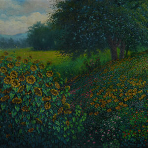 Sunflower Fields
