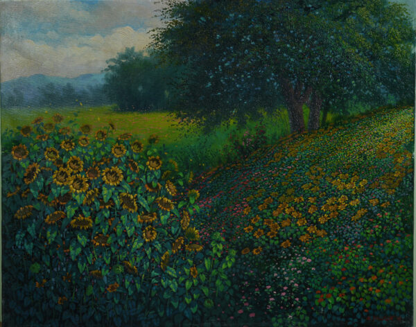Sunflower Fields