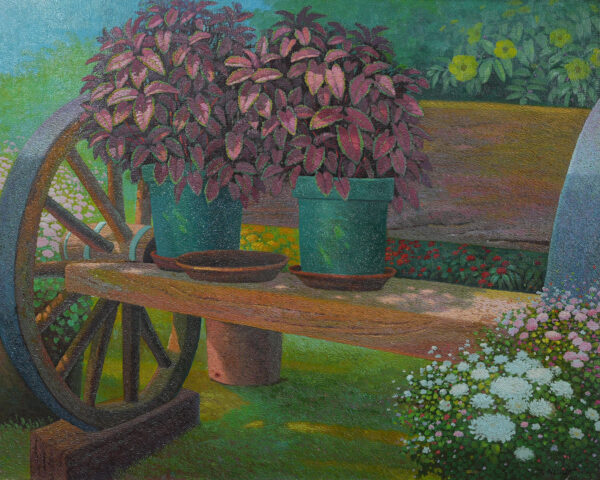 Mayana Plant
