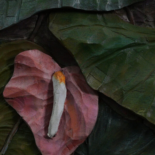 Anthurium II - Image 3