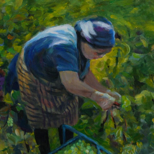 Domaine de Piaugier in Sablet - Image 4