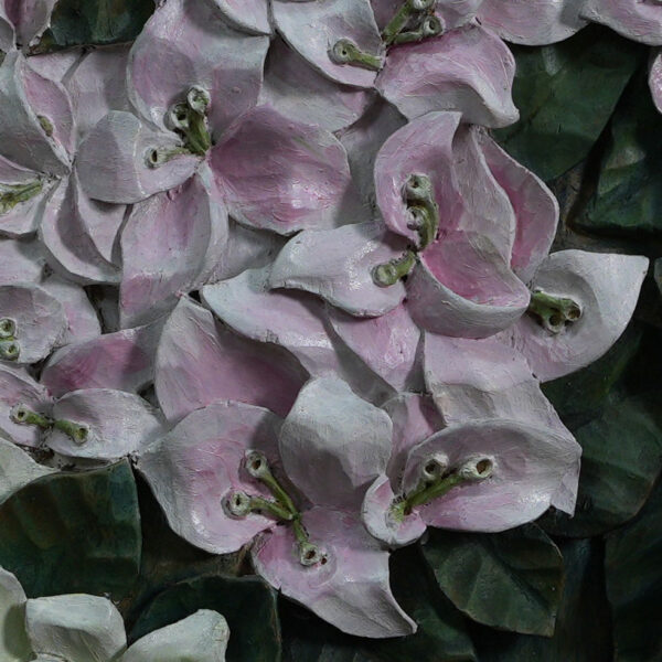 Pink Bougainvillea - Image 4