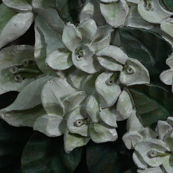 Pink Bougainvillea - Image 5