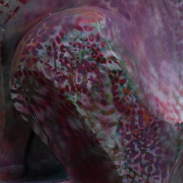 Sphynx - Image 5