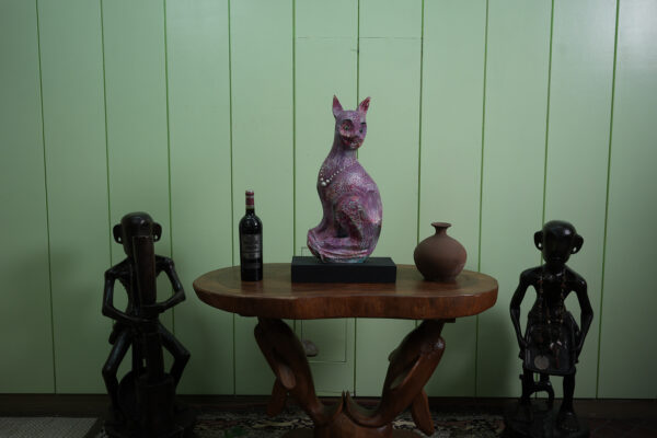 Sphynx - Image 7