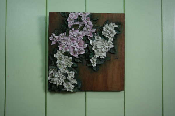 Pink Bougainvillea - Image 8