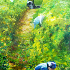 Domaine de Piaugier in Sablet